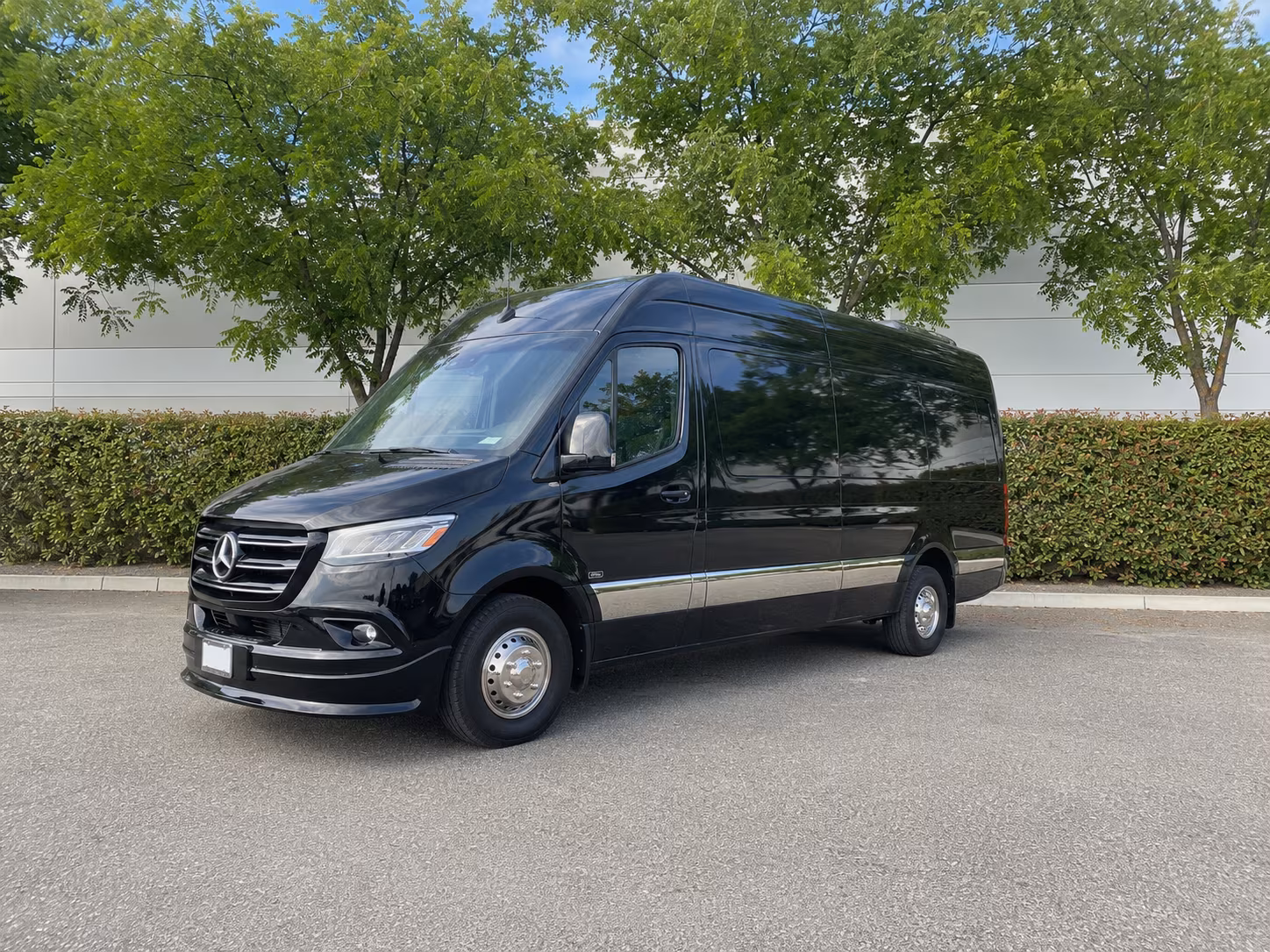 alhambra sprinter van with driver